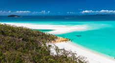 Whitehaven Beach in Queensland, Australien (F: Bigstock / Martin Valigursky)
