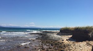 Strand bei Medulin (F: Reisekompass)