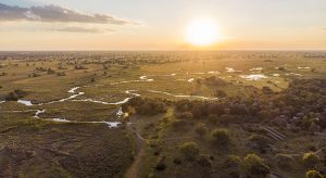 Blick auf das Okavango Delta beim Camp Okavango (Foto: Desert & Delta Safaris, beigestellt)