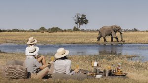 Wilderness Mombo Camp Botswana