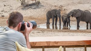 Savute Safari Lodge 2024 Wiedereröffnung Reisekompass Foto beigestellt